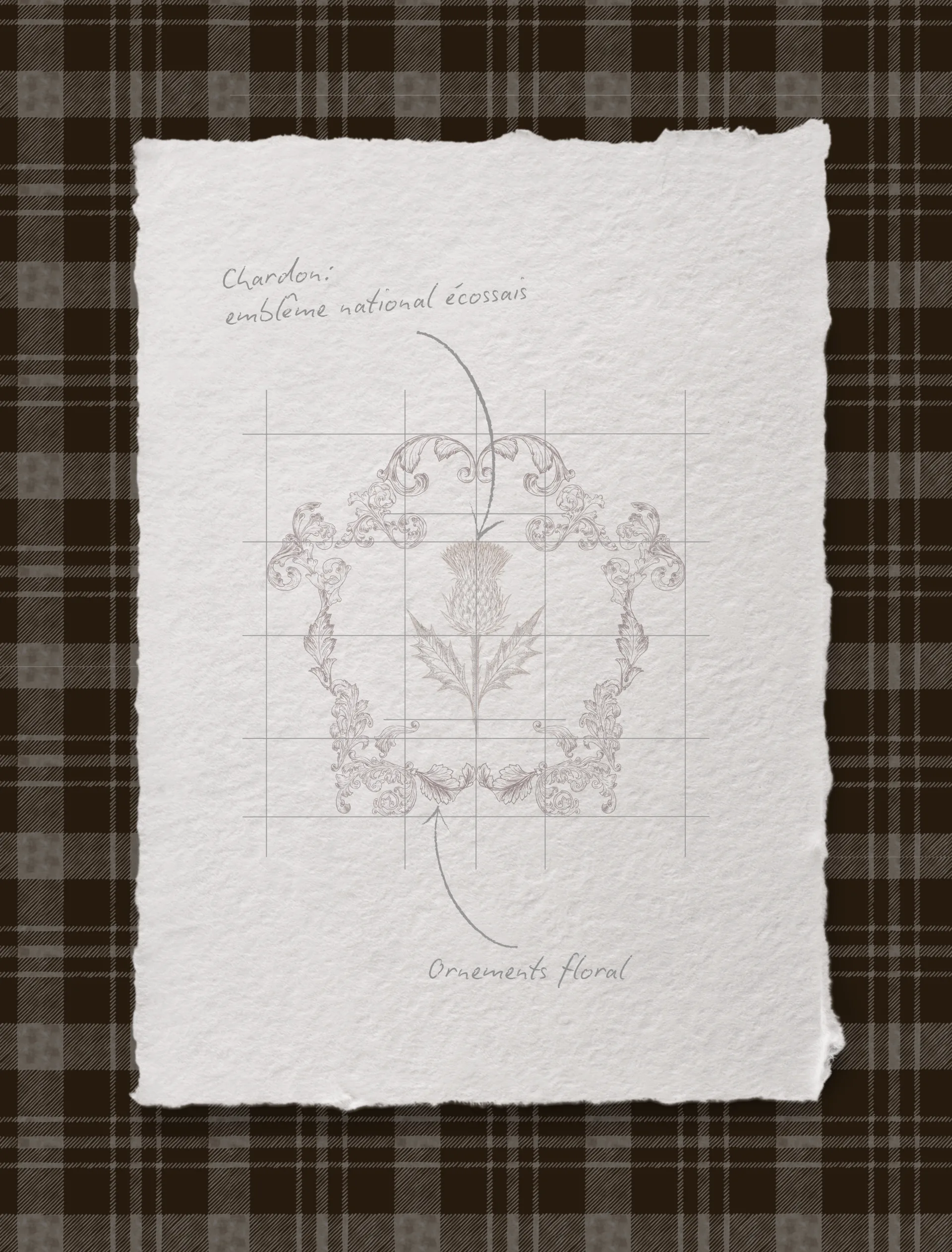 Création de logo et identité visuelle sur mesure par Bloomery Studio